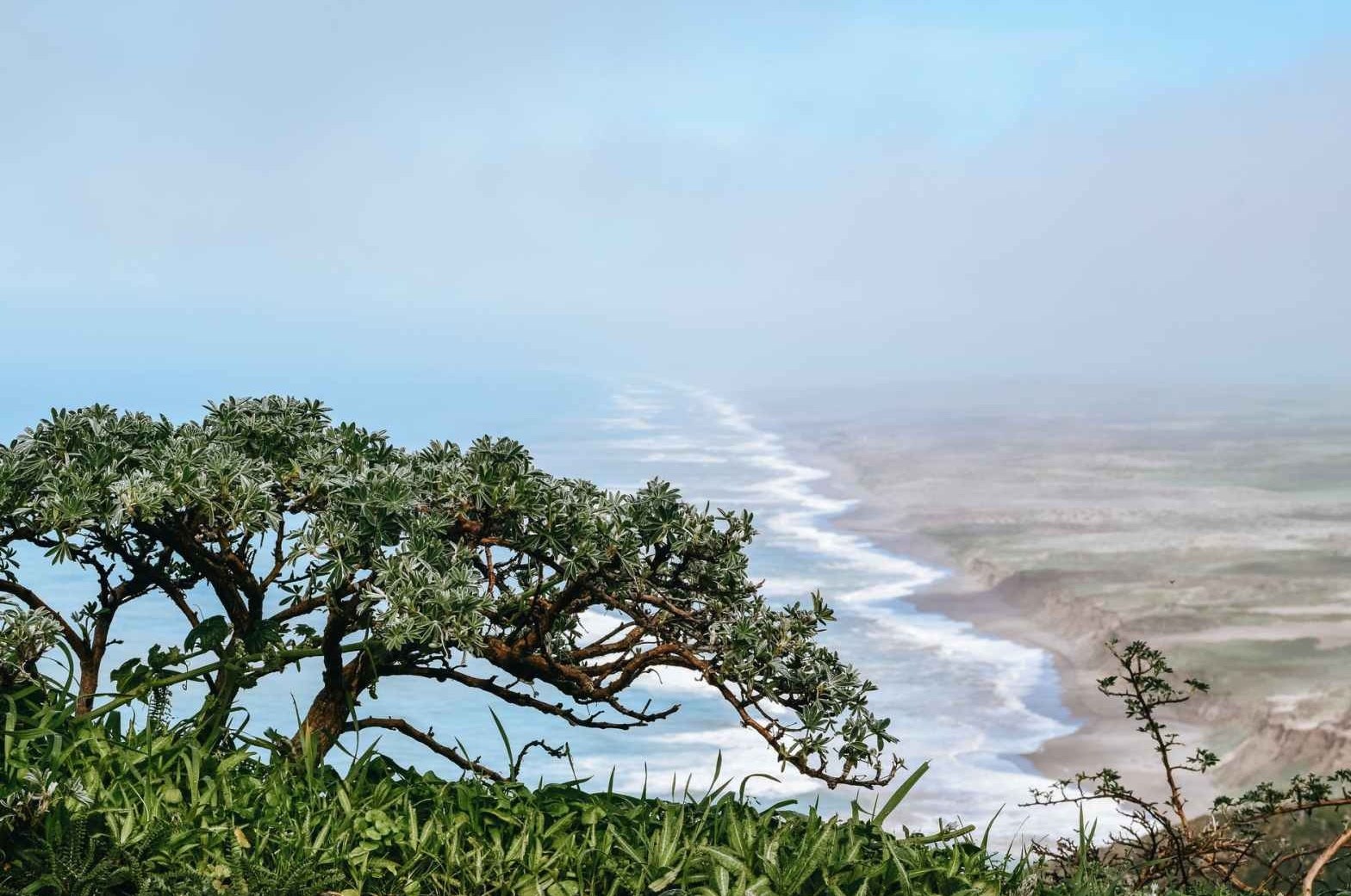 'Is this the End?' Cover Picture